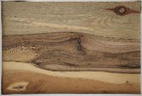 Relief mit Kiefer, Nussbaum, Eibe oR 24x34